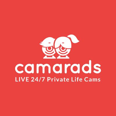 reallifecam 24/7|Camarads • Watch the private life of other people live